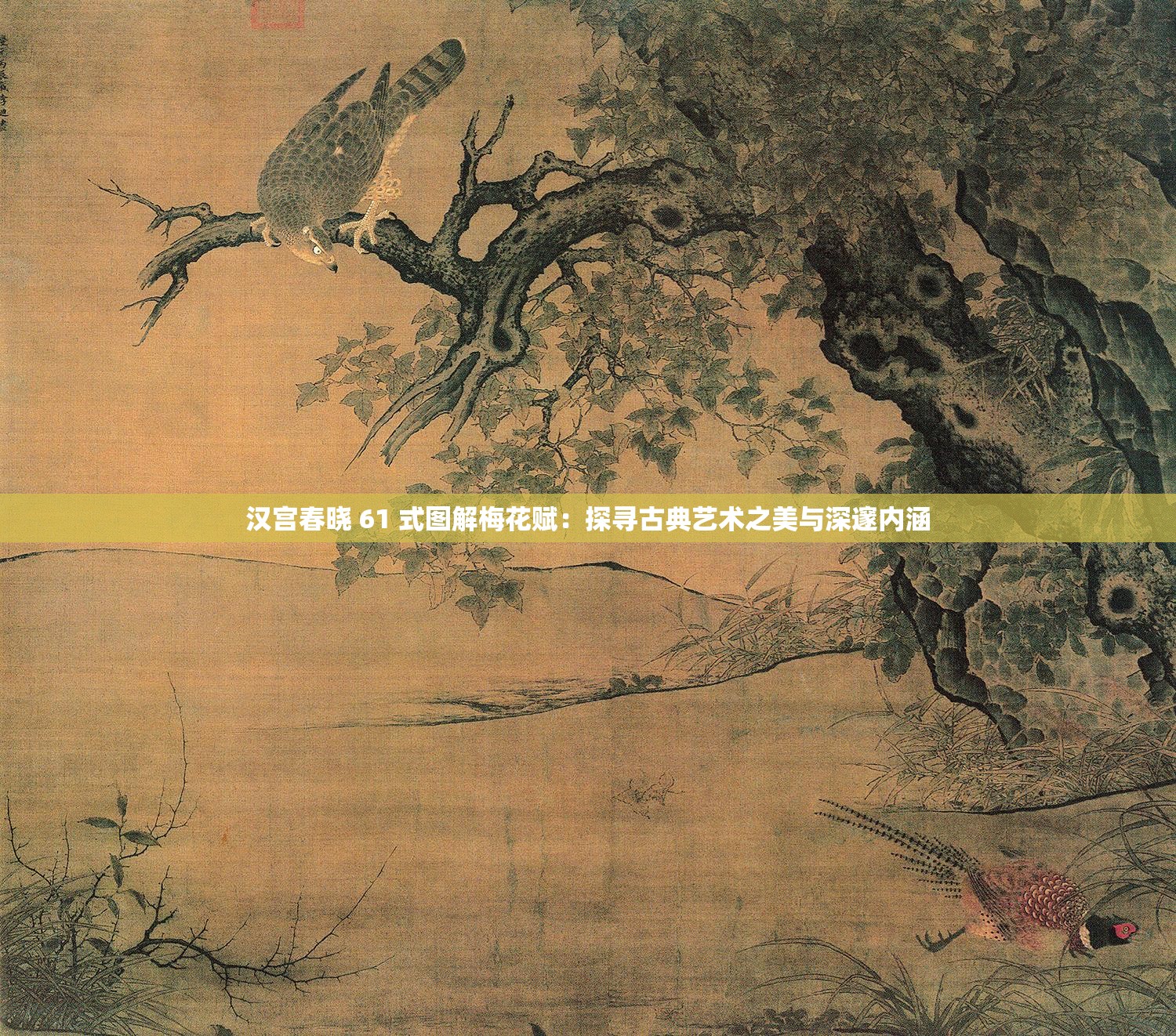 汉宫春晓 61 式图解梅花赋：探寻古典艺术之美与深邃内涵
