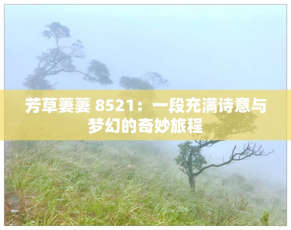 芳草萋萋 8521：一段充满诗意与梦幻的奇妙旅程