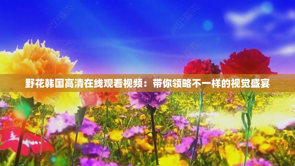 野花韩国高清在线观看视频：带你领略不一样的视觉盛宴