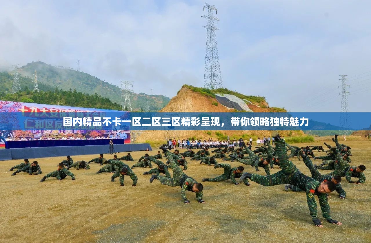 国内精品不卡一区二区三区精彩呈现，带你领略独特魅力
