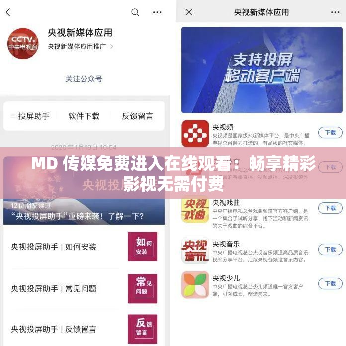 MD 传媒免费进入在线观看：畅享精彩影视无需付费
