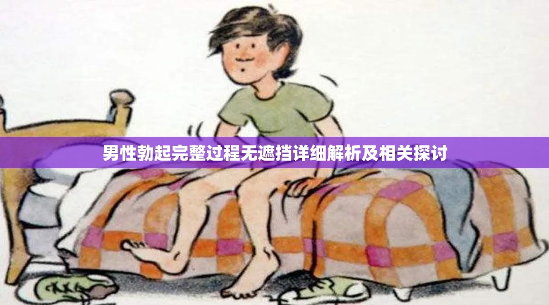 男性勃起完整过程无遮挡详细解析及相关探讨