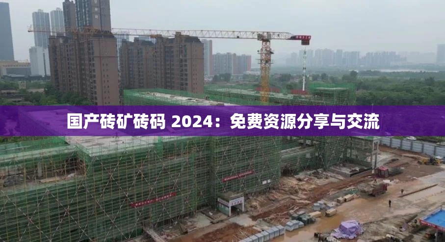 国产砖矿砖码 2024：免费资源分享与交流