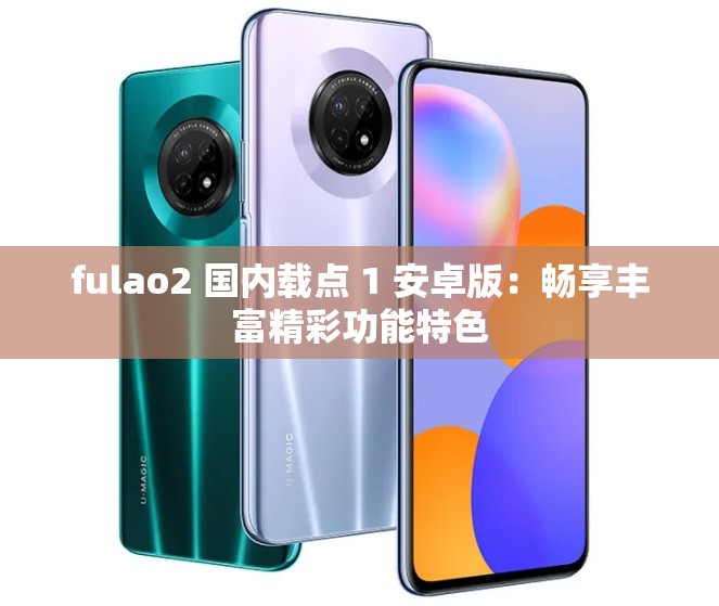 fulao2 国内载点 1 安卓版：畅享丰富精彩功能特色
