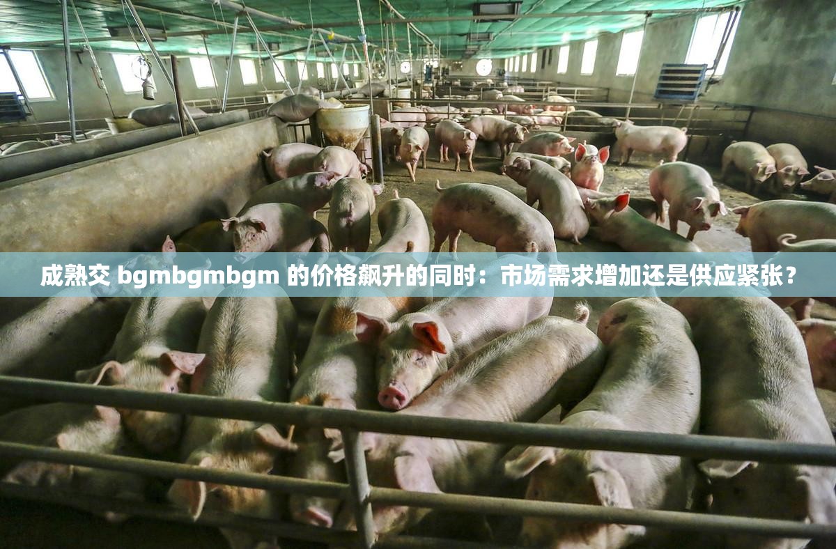 成熟交 bgmbgmbgm 的价格飙升的同时：市场需求增加还是供应紧张？