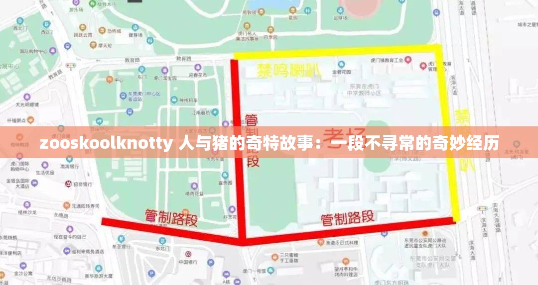 zooskoolknotty 人与猪的奇特故事：一段不寻常的奇妙经历