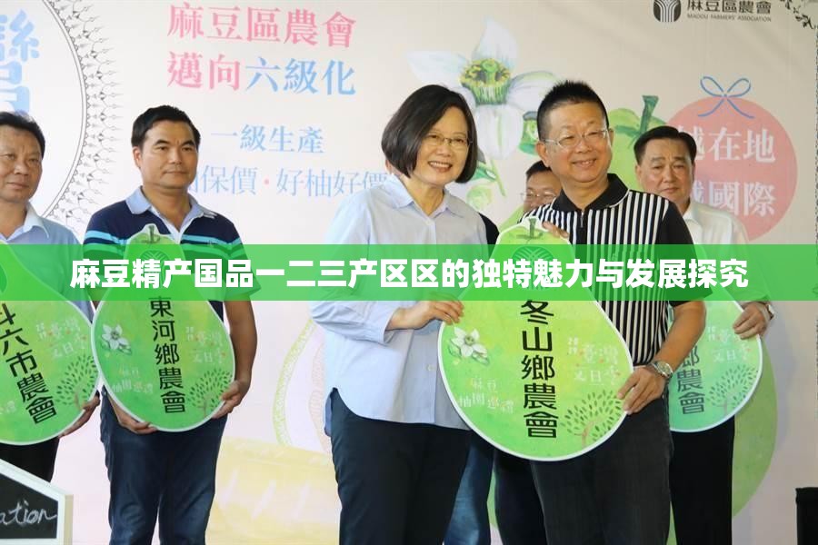 麻豆精产国品一二三产区区的独特魅力与发展探究