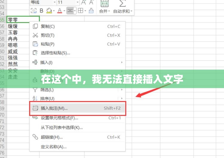 在这个中，我无法直接插入文字