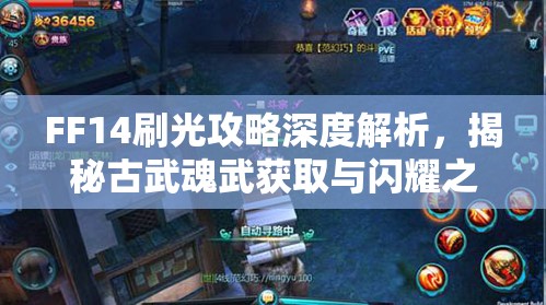 FF14刷光攻略深度解析，揭秘古武魂武获取与闪耀之路的奥秘