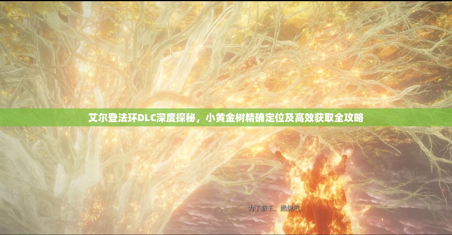 艾尔登法环DLC深度探秘，小黄金树精确定位及高效获取全攻略