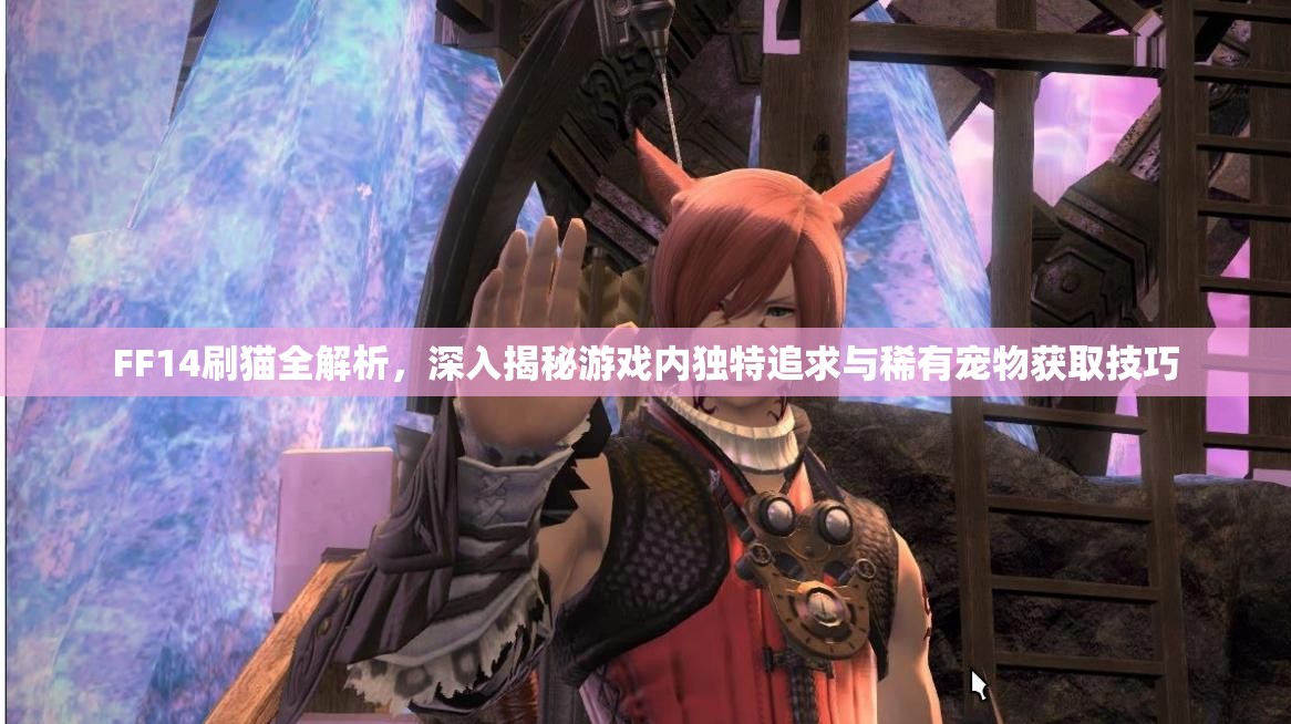 FF14刷猫全解析，深入揭秘游戏内独特追求与稀有宠物获取技巧