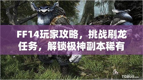 FF14玩家攻略，挑战刷龙任务，解锁极神副本稀有坐骑的冒险之旅