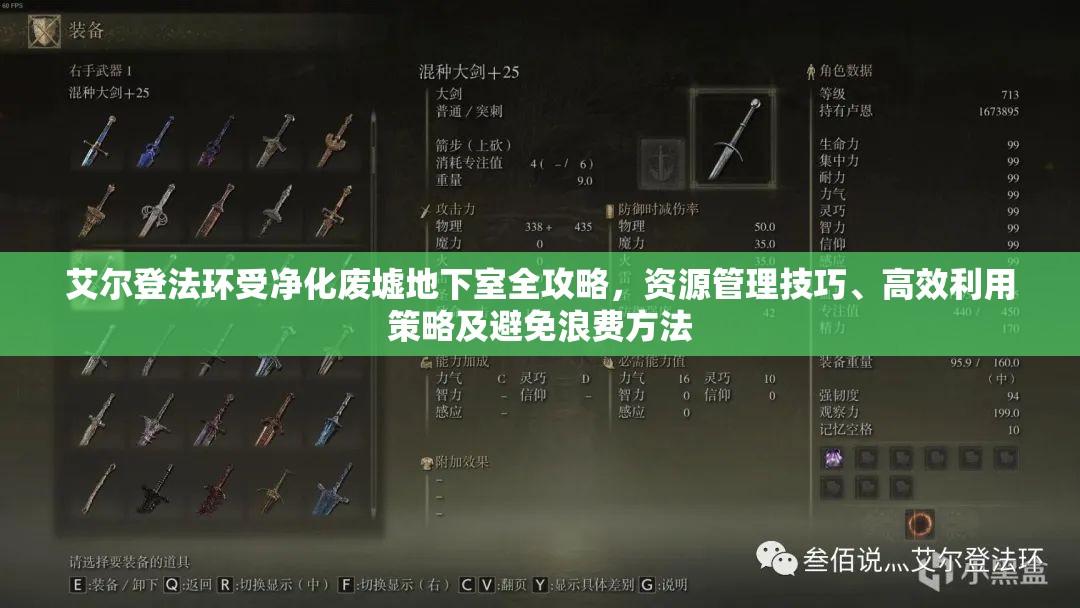 艾尔登法环受净化废墟地下室全攻略，资源管理技巧、高效利用策略及避免浪费方法
