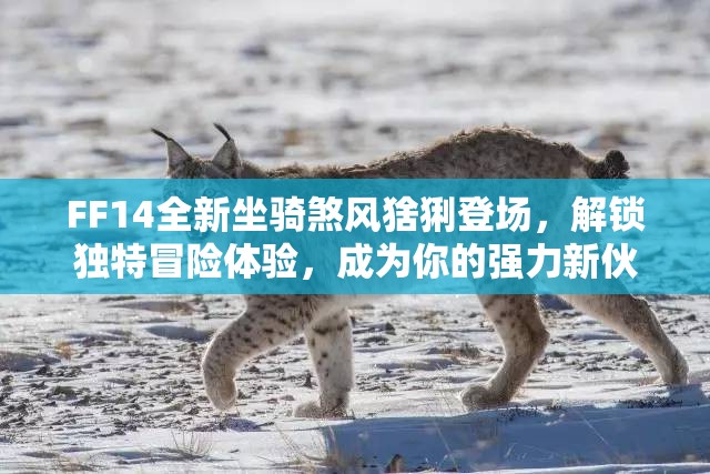 FF14全新坐骑煞风猞猁登场，解锁独特冒险体验，成为你的强力新伙伴