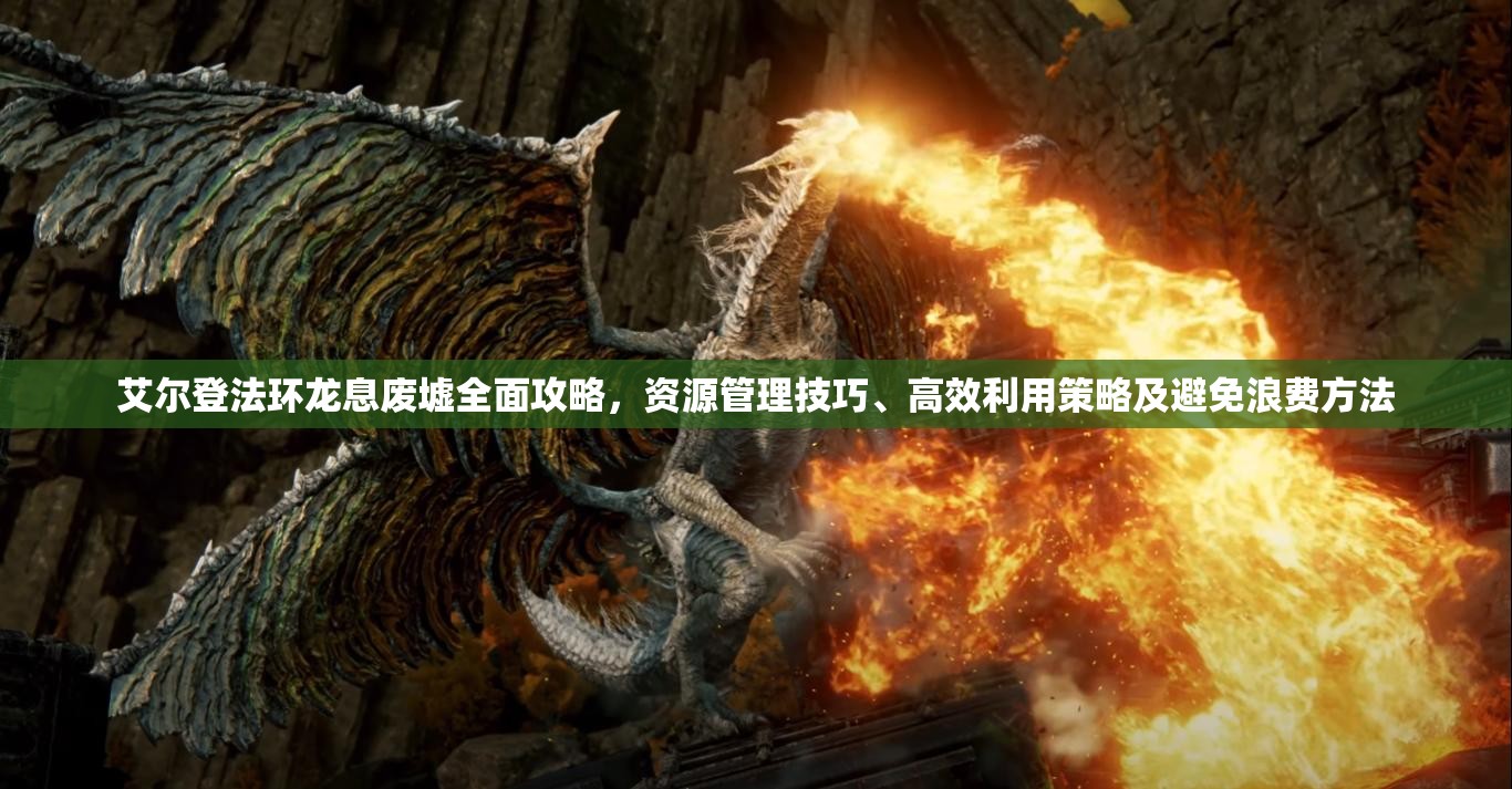 艾尔登法环龙息废墟全面攻略，资源管理技巧、高效利用策略及避免浪费方法