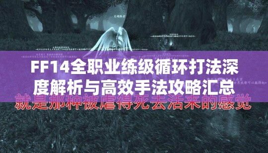 FF14全职业练级循环打法深度解析与高效手法攻略汇总