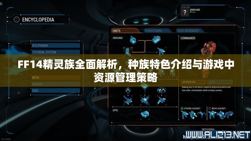 FF14精灵族全面解析，种族特色介绍与游戏中资源管理策略