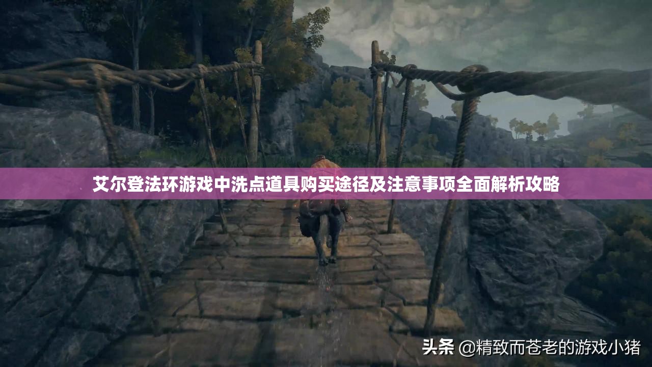 艾尔登法环游戏中洗点道具购买途径及注意事项全面解析攻略