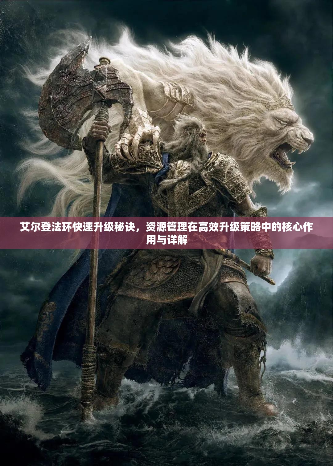 艾尔登法环快速升级秘诀，资源管理在高效升级策略中的核心作用与详解