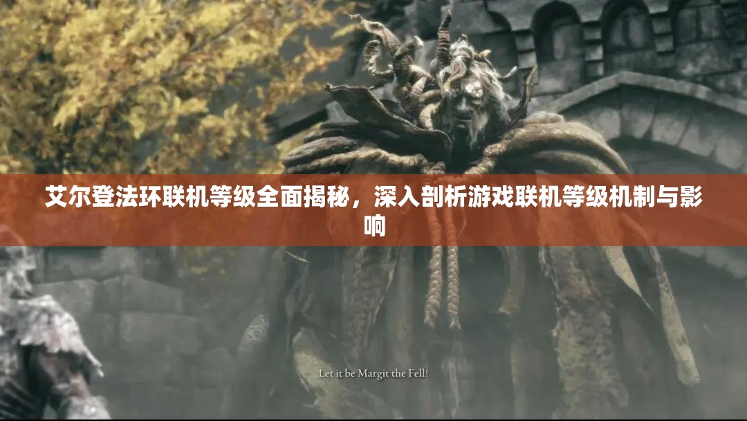 艾尔登法环联机等级全面揭秘，深入剖析游戏联机等级机制与影响