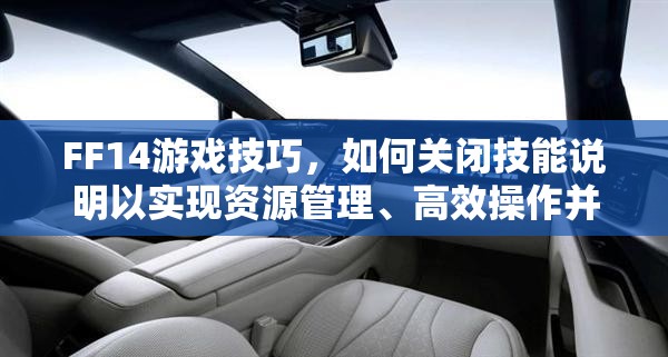 FF14游戏技巧，如何关闭技能说明以实现资源管理、高效操作并避免浪费