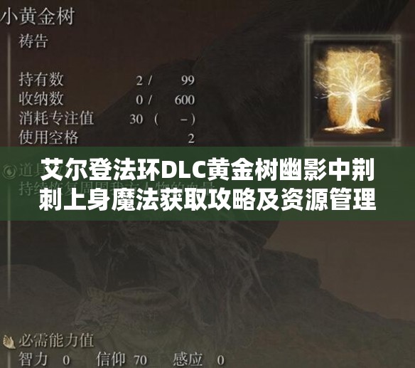 艾尔登法环DLC黄金树幽影中荆刺上身魔法获取攻略及资源管理详解
