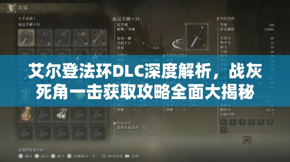 艾尔登法环DLC深度解析，战灰死角一击获取攻略全面大揭秘