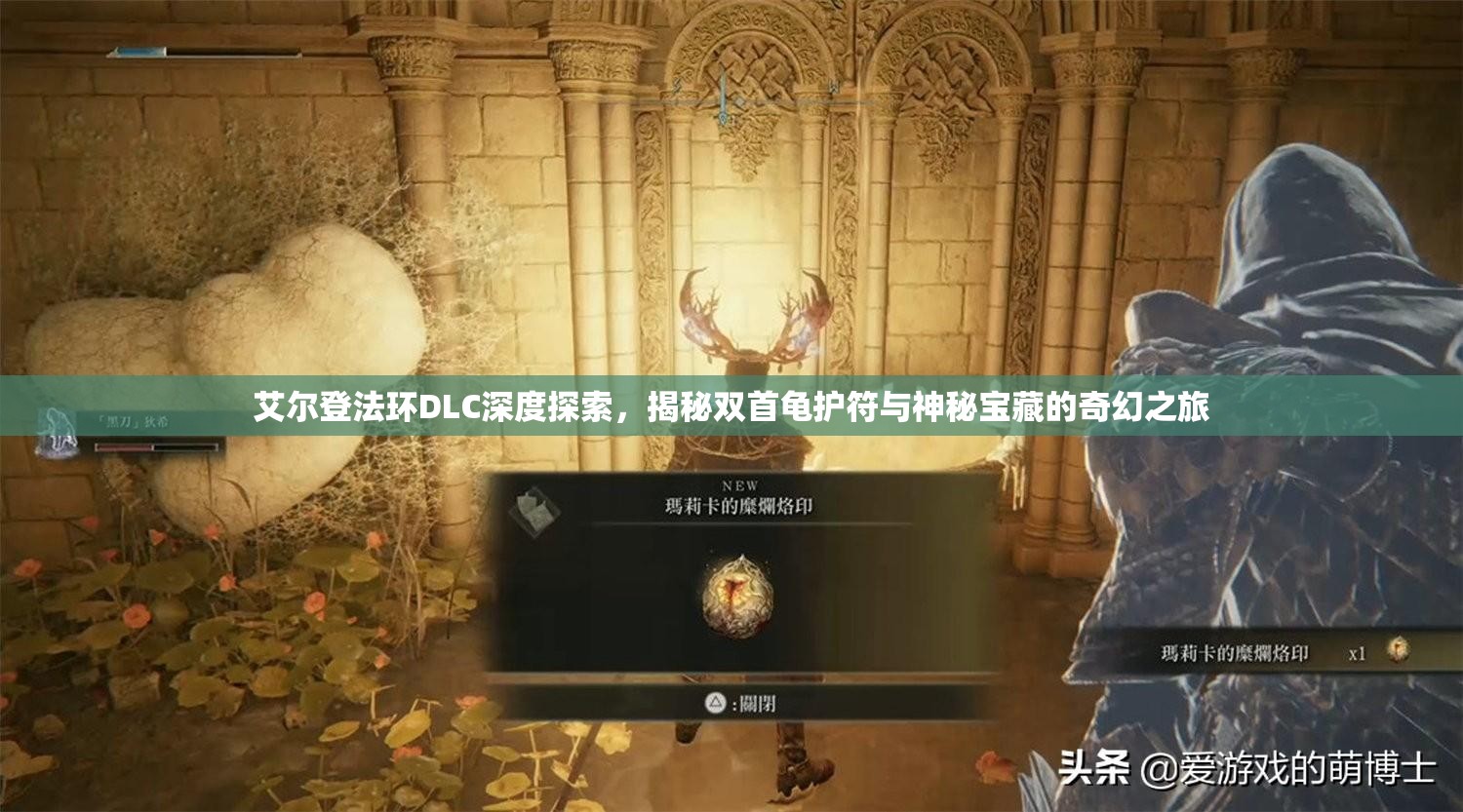 艾尔登法环DLC深度探索，揭秘双首龟护符与神秘宝藏的奇幻之旅