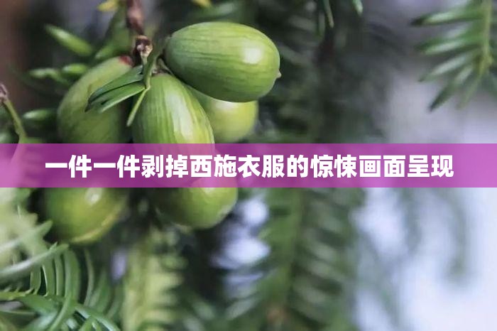 一件一件剥掉西施衣服的惊悚画面呈现