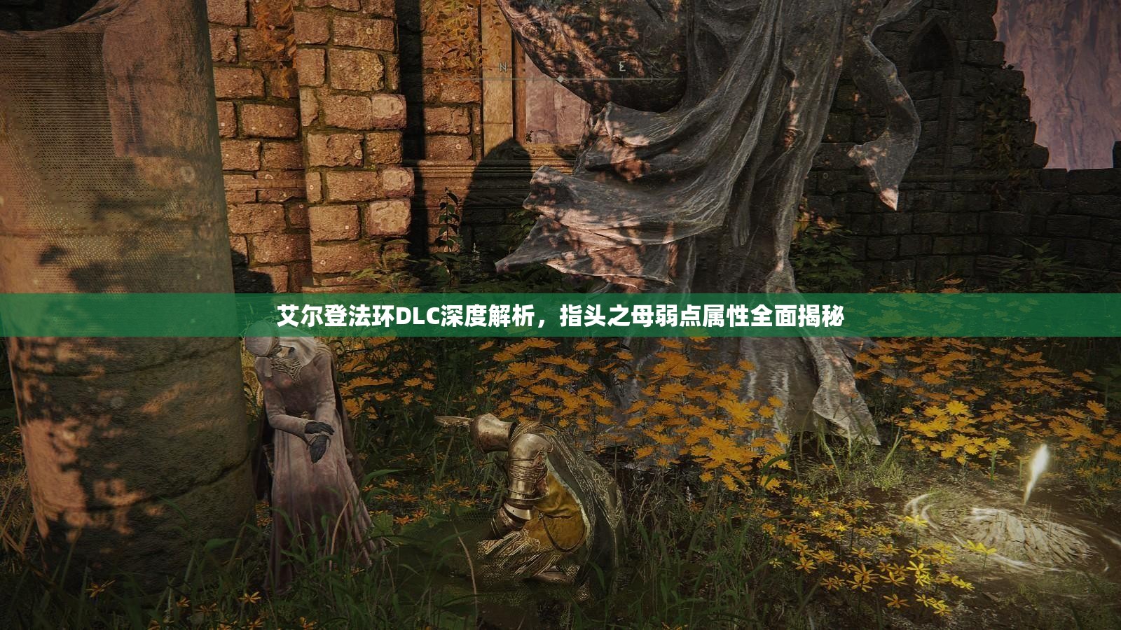 艾尔登法环DLC深度解析，指头之母弱点属性全面揭秘