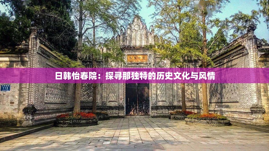 日韩怡春院：探寻那独特的历史文化与风情