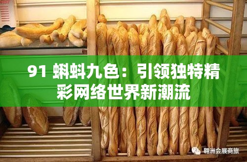 91 蝌蚪九色：引领独特精彩网络世界新潮流