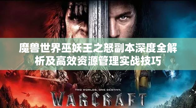魔兽世界巫妖王之怒副本深度全解析及高效资源管理实战技巧