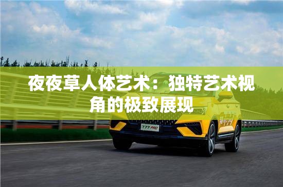 夜夜草人体艺术：独特艺术视角的极致展现
