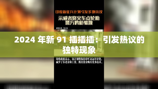 2024 年新 91 插插插：引发热议的独特现象