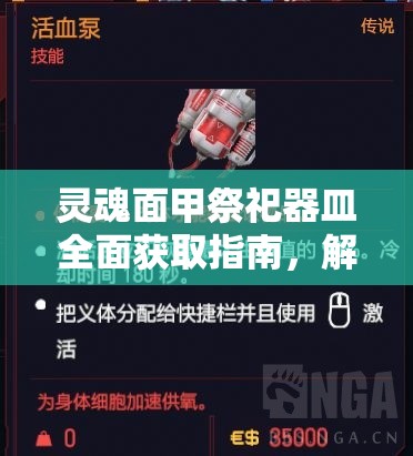 灵魂面甲祭祀器皿全面获取指南，解锁BOSS挑战的关键步骤与策略