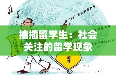 抽插留学生：社会关注的留学现象