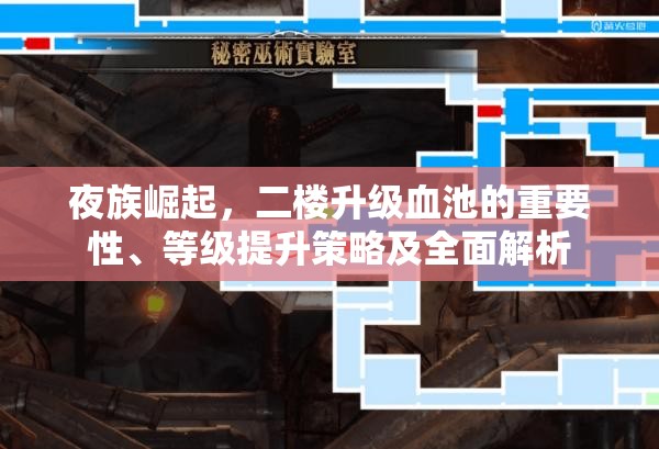 夜族崛起，二楼升级血池的重要性、等级提升策略及全面解析