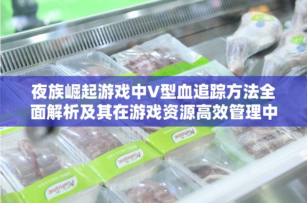 夜族崛起游戏中V型血追踪方法全面解析及其在游戏资源高效管理中的应用