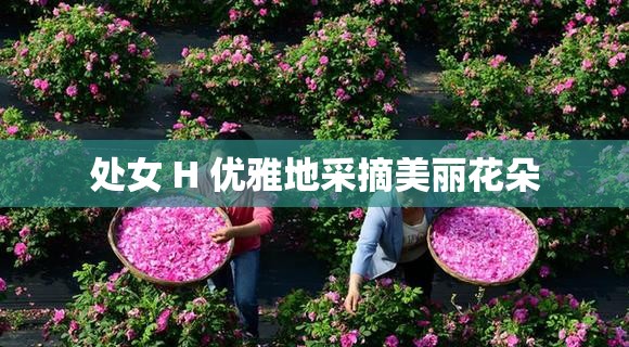 处女 H 优雅地采摘美丽花朵