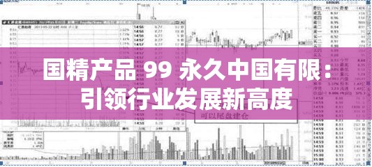 国精产品 99 永久中国有限：引领行业发展新高度