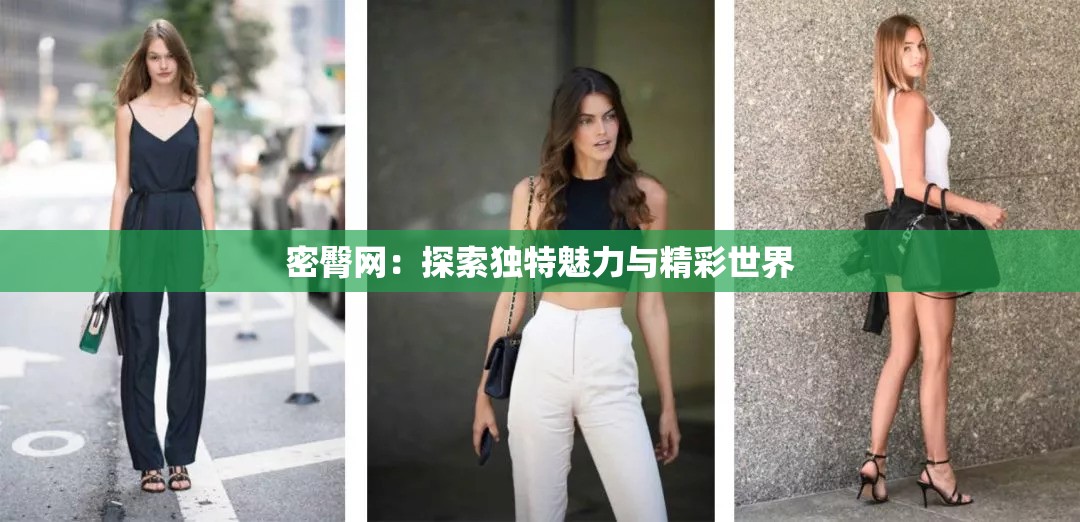 密臀网：探索独特魅力与精彩世界