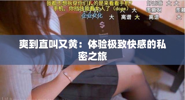 爽到直叫又黄：体验极致快感的私密之旅