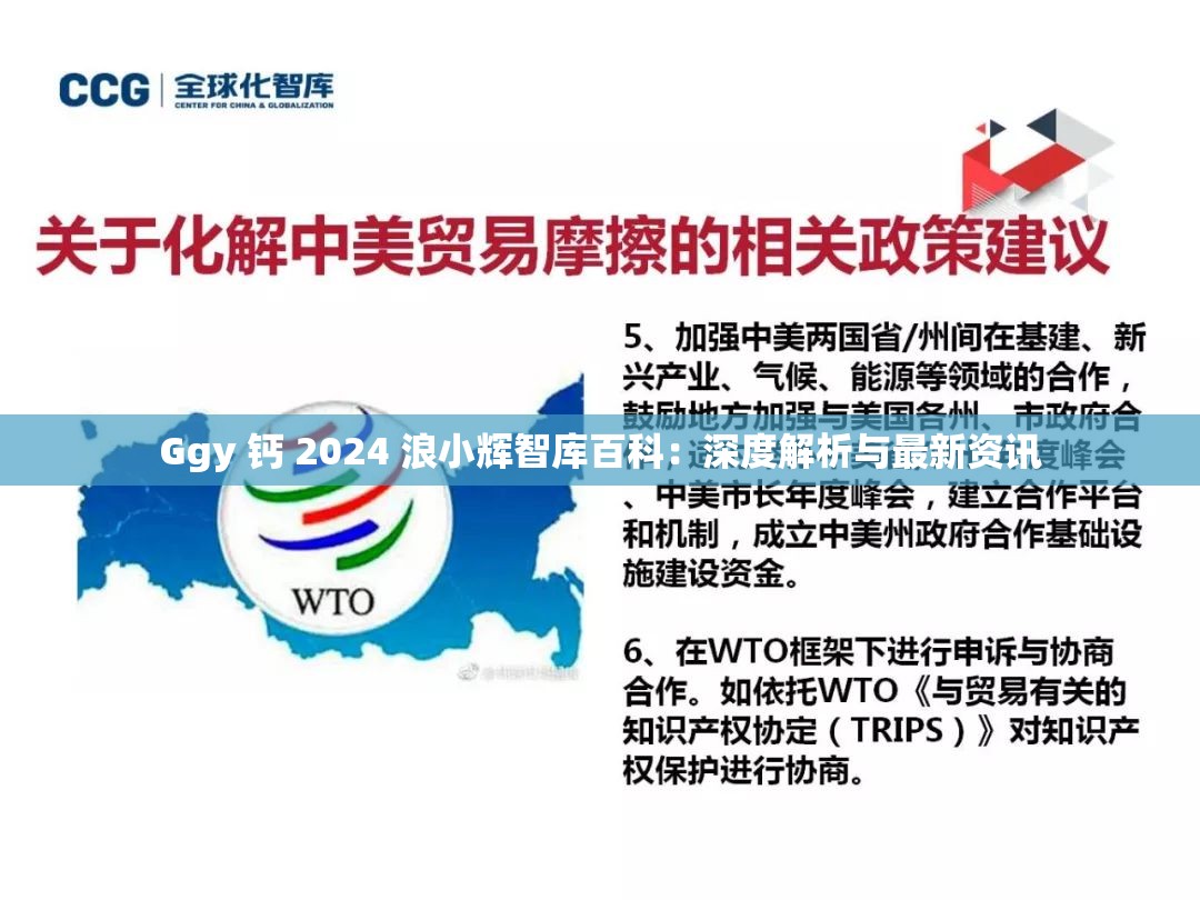 Ggy 钙 2024 浪小辉智库百科：深度解析与最新资讯