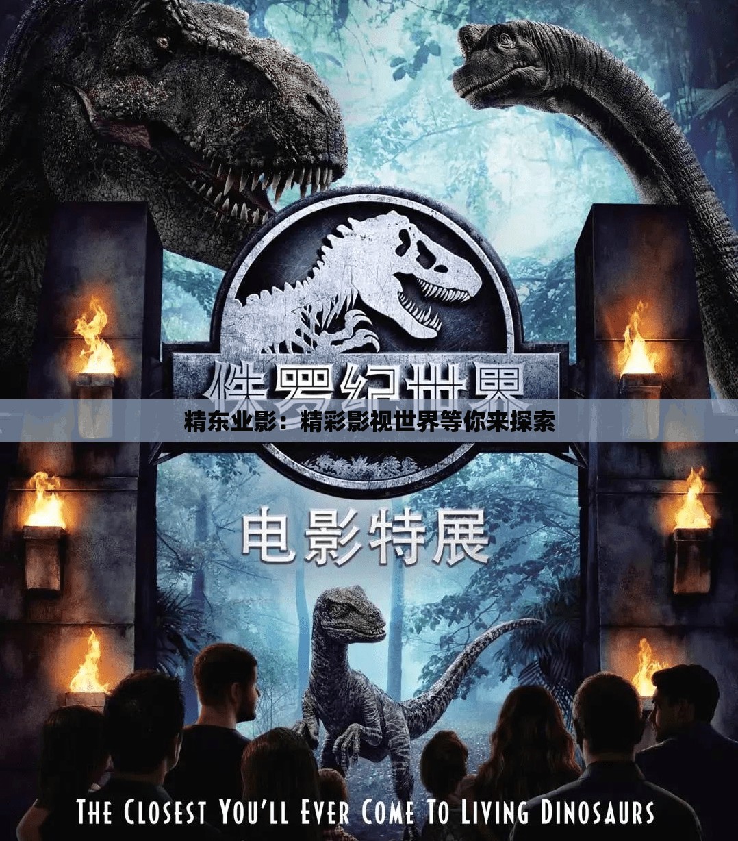 精东业影：精彩影视世界等你来探索