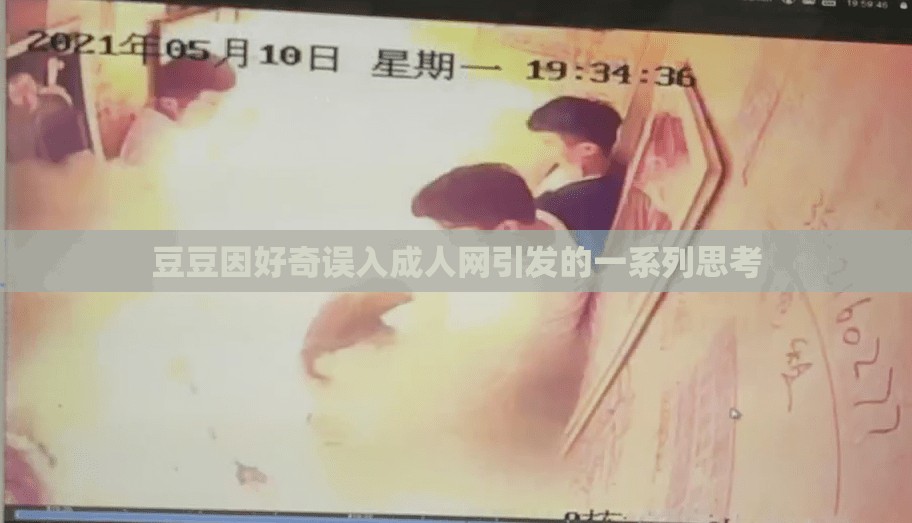 豆豆因好奇误入成人网引发的一系列思考