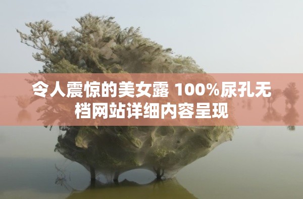 令人震惊的美女露 100%尿孔无档网站详细内容呈现
