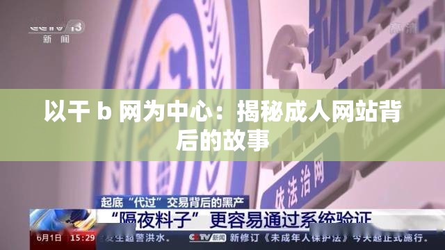 以干 b 网为中心：揭秘成人网站背后的故事