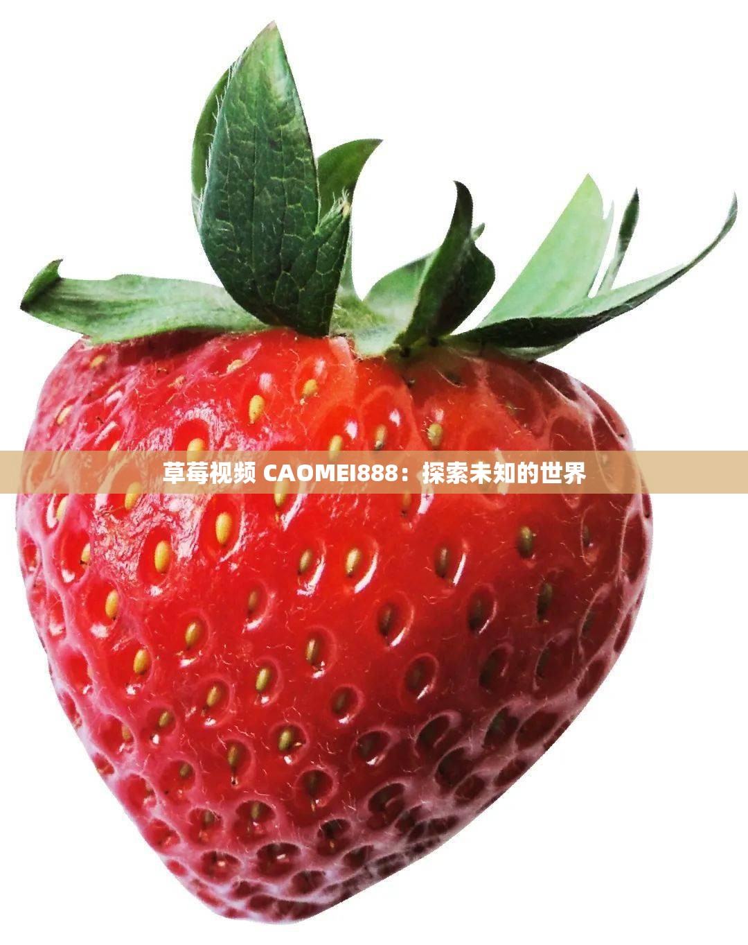 草莓视频 CAOMEI888：探索未知的世界