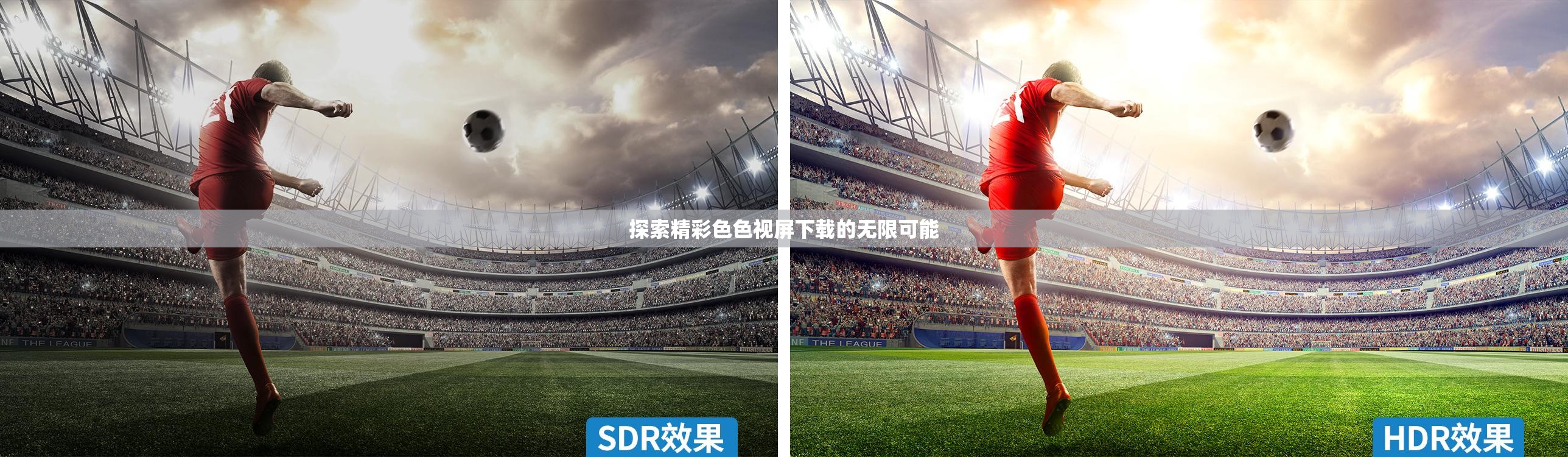 探索精彩色色视屏下载的无限可能